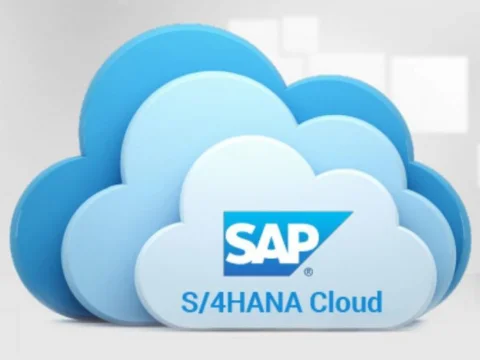 Using SAP to Empower SMEs Using SAP to Empower SMEs